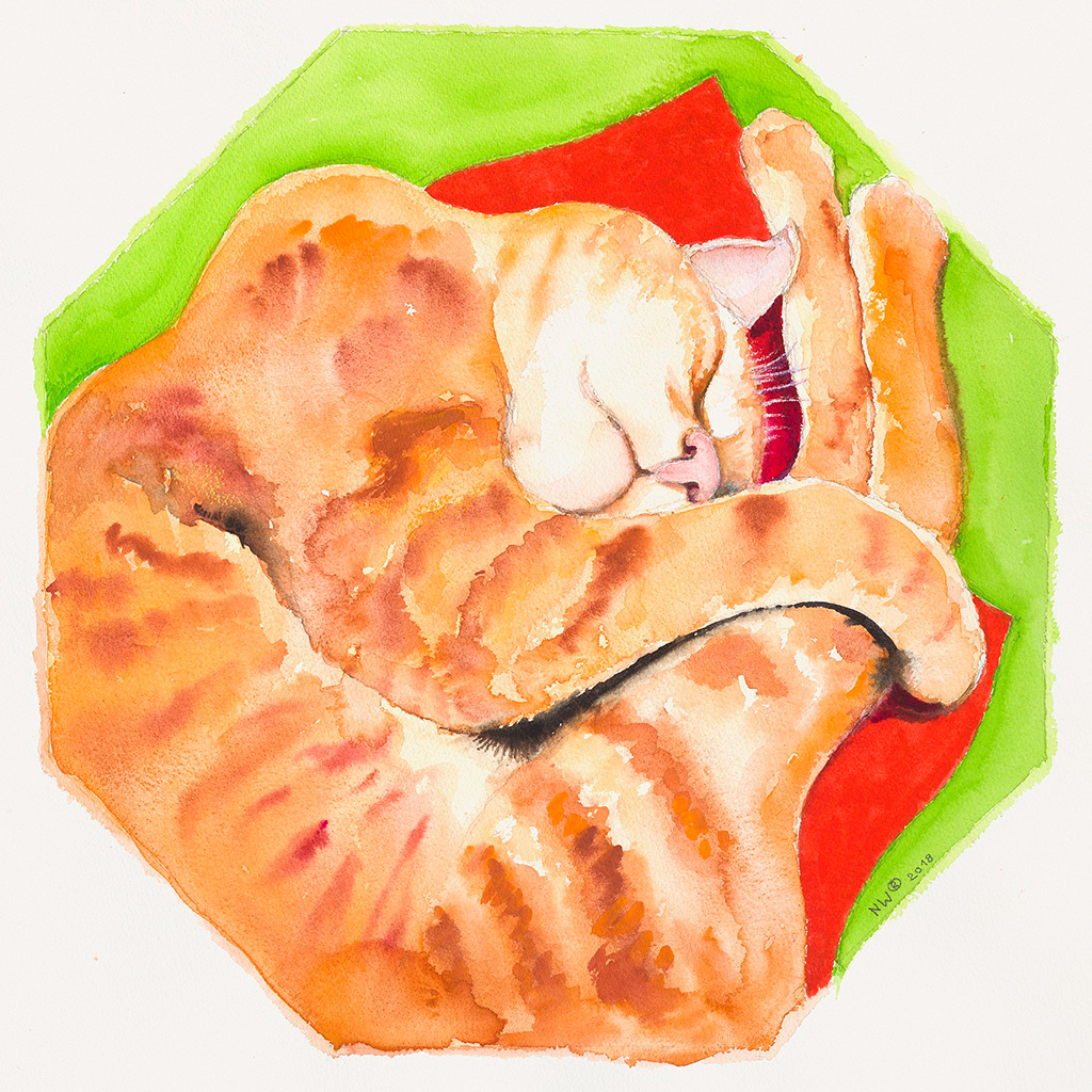 2018, Watercolor on paper, 50 x 50 cm, „Red Cat“, Nina Werzbinskaja-Rabinowich